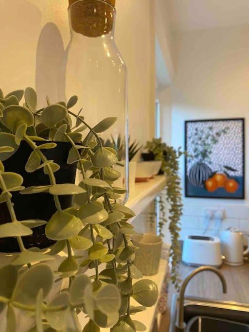 Garden Apartment, Central Harrogate With Parking Екстериор снимка