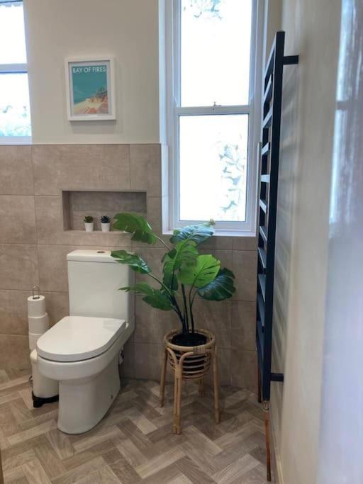 Garden Apartment, Central Harrogate With Parking Екстериор снимка