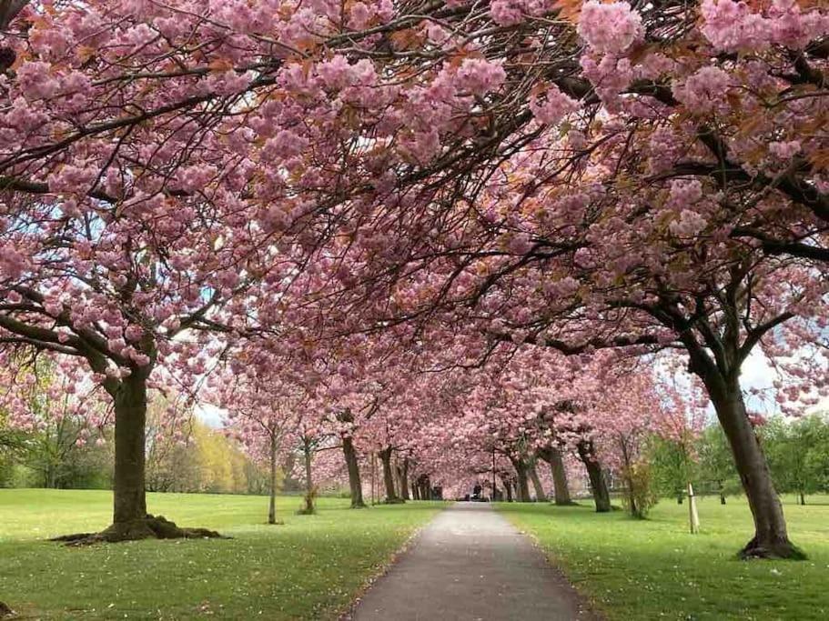 Garden Apartment, Central Harrogate With Parking Екстериор снимка
